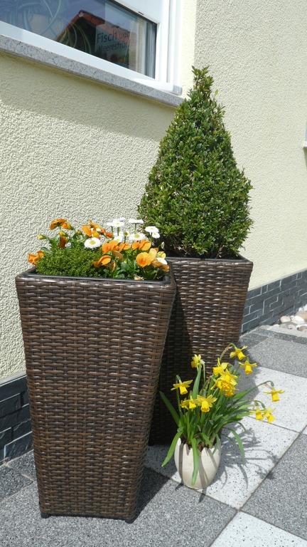 Blackforest Apartment Freudenstadt Exterior foto